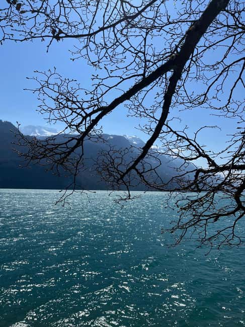 image n.2 of From Basel: Alps, Waterfalls and Lakes Private Tour activity in Lauterbrunnen, uploaded by supplier