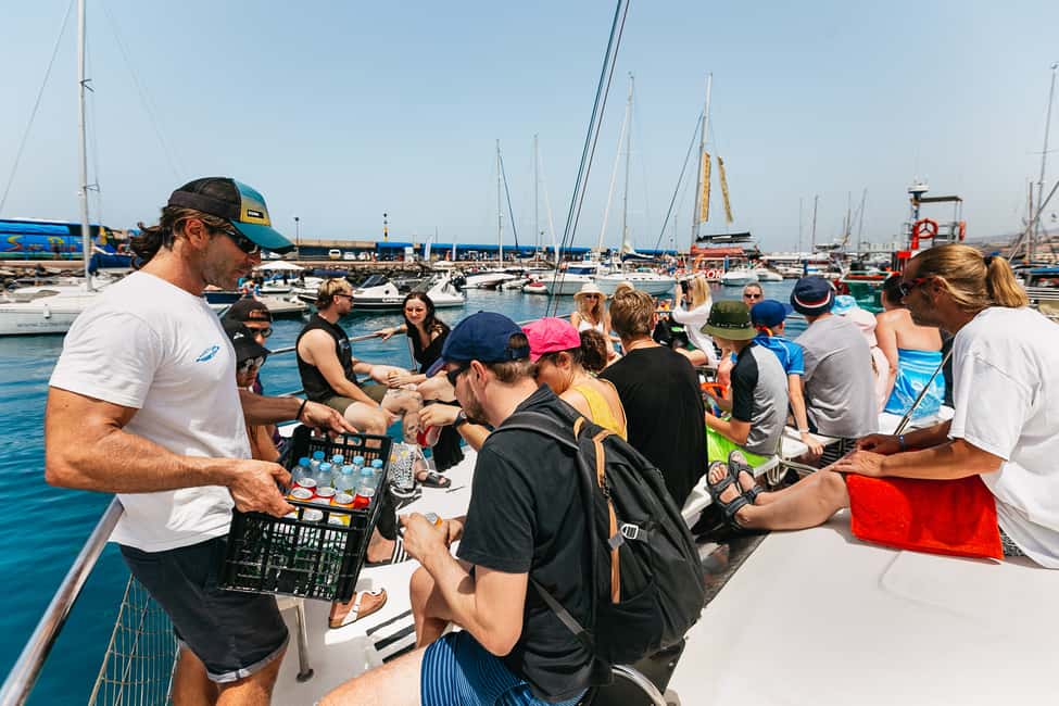 billede nr.13 af aktiviteten Costa Adeje: Hvalsafari med katamaran og drikkevarer i Costa Adeje, uploadet af udbyder