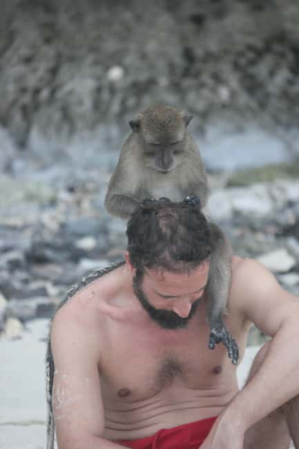 billede nr.6 af aktiviteten Ko Phi Phi Don: Dagsudflugt med speedbåd og hajsnorkling i Thailandbugten, uploadet af udbyder