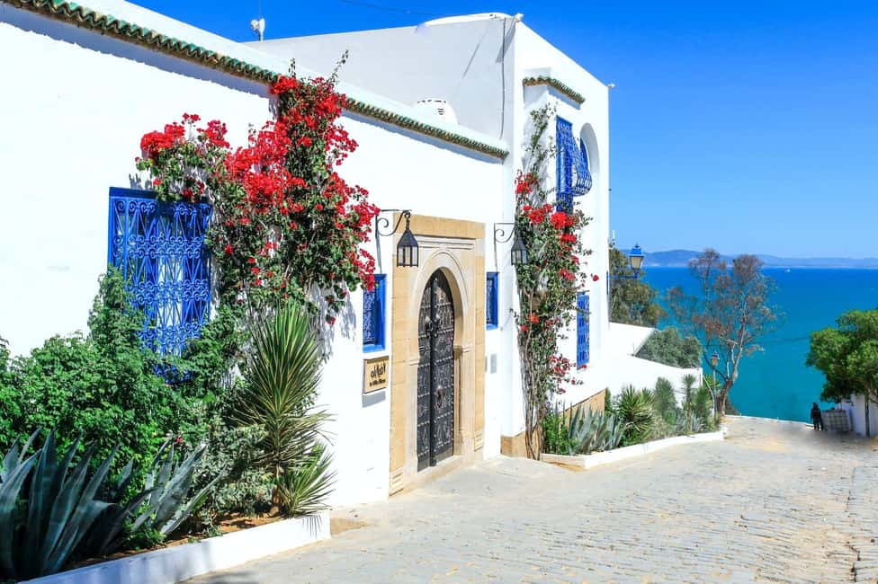 Image N°10 de Visite de l'ancienne Carthage et de Sidi Bou Said avec déjeuner activité à Carthage, publiée par le prestataire