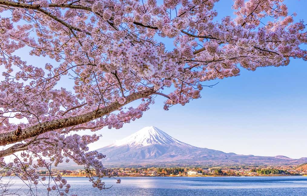 image n.3 of Tokyo: Mount Fuji, Kawaguchi Lake, Oshino Hakkai 1-Day Trip activity in Fujikawaguchiko, uploaded by supplier