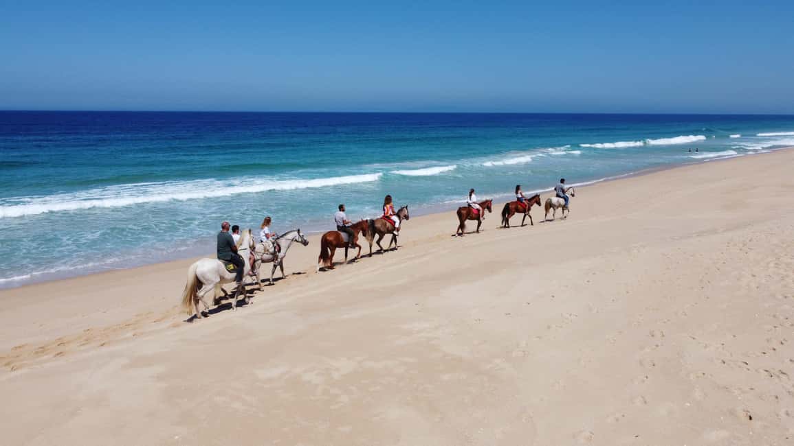 imagem n.8 de Melides: Passeios a cavalo na praia de Melides atividade em Melides, carregada pelo fornecedor