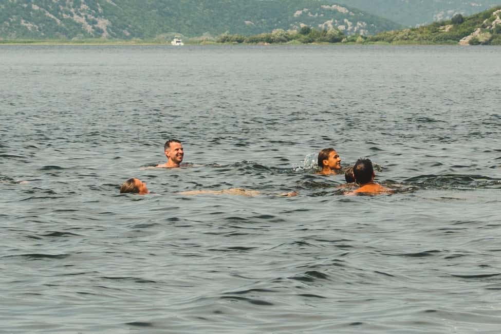 Bild Nr. 8 von Virpazar: Geführte Kreuzfahrt auf dem Skadar-See und dem Fluss Crnojevića Aktivität in Kreis Shkodra, hochgeladen vom Anbieter