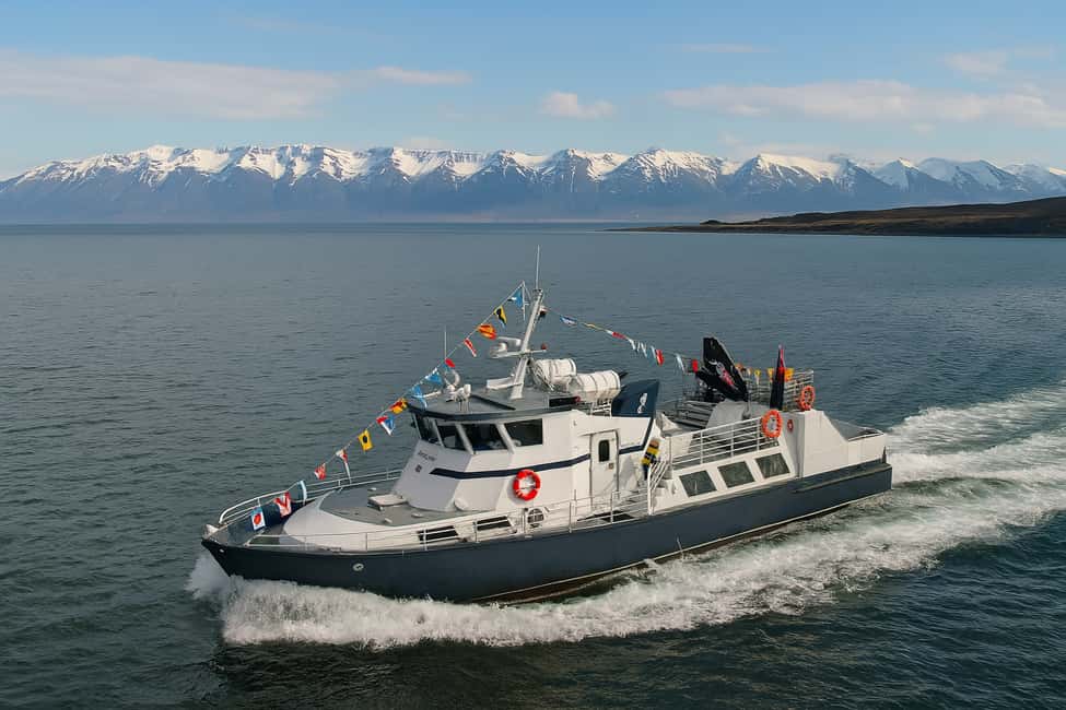 imagen n.º 6 de Húsavík: Excursión familiar y guiada de avistamiento de ballenas actividad en Norðurland Eystra, subida por el proveedor