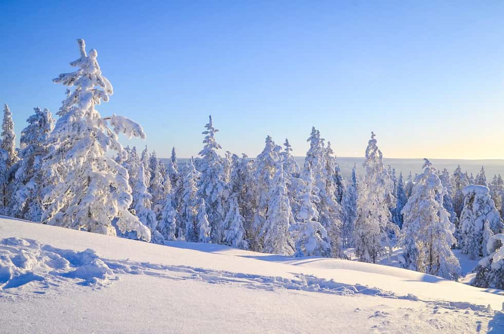 Bild Nr. 5 von Rovaniemi: Geführte Schneemobilfahrt durch die Wildnis Aktivität in Rovaniemi, hochgeladen vom Anbieter