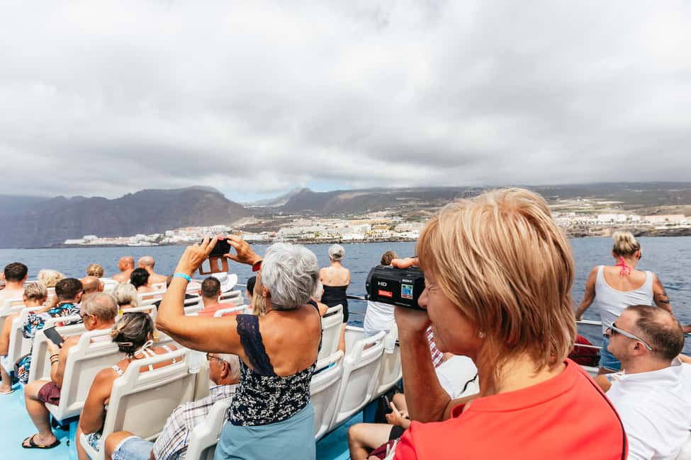 billede nr.11 af aktiviteten Adeje: Hval- og delfinsafari med frokost og svømmetur i Costa Adeje, uploadet af udbyder