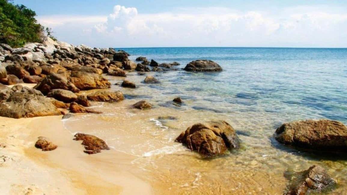 image n.6 of Da Nang/Hoi An:Explore Cham Island and Snorkeling tour 1 Day activity in Hoi An, uploaded by supplier