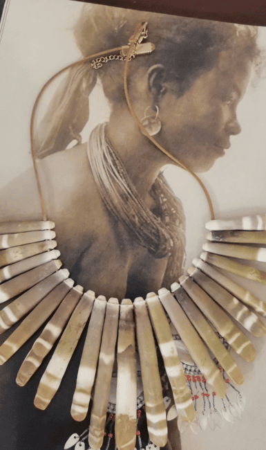 image n.5 of Cavtat: Shell Museum Entry Ticket with Guided Tour Option activity in Cavtat, uploaded by supplier