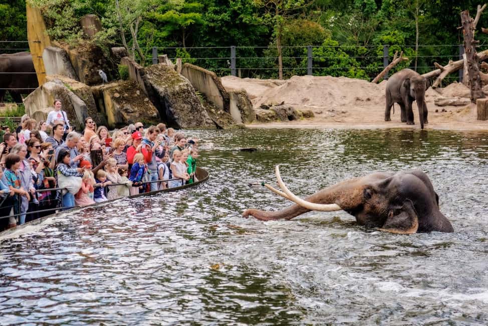 image n.6 of Amsterdam: ARTIS Royal Zoo Entry Ticket activity in Amsterdam, uploaded by supplier