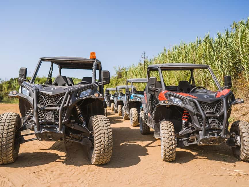 image n.11 of Korcula Buggy Safari With Wine Tasting activity in Korčula, uploaded by supplier