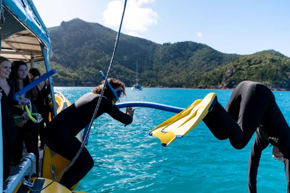 afbeelding n.3 van Whitsundays: 2 dagen 1 nacht Zeilen, snorkelen, Whitehaven activiteit in Queensland, geüpload door aanbieder
