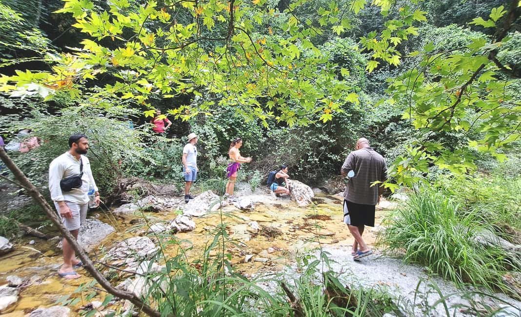 image n.4 of From Thessaloniki: Day Trip to Dion and Mount Olympus Park activity in Dion, Pieria, uploaded by supplier