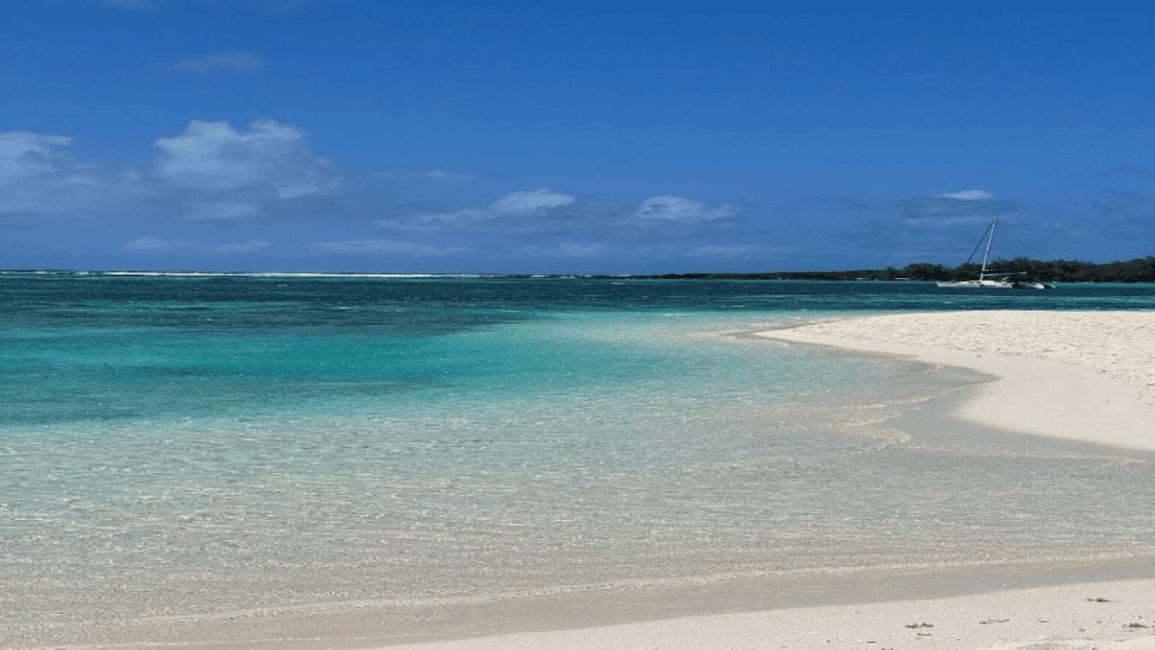 image n.7 of 3 Islands Private Speedboat w/ Lunch & Snorkeling Sea Turtle activity in Mauritius, uploaded by supplier
