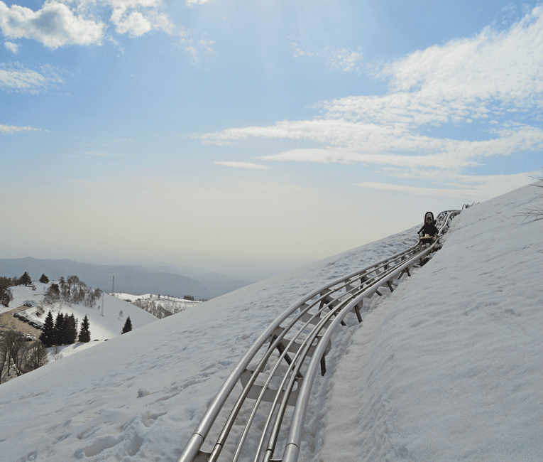 billede nr.13 af aktiviteten Stresa: Alpyland Alpine Coaster Ride på Mount Mottarone i Mottarone, uploadet af udbyder