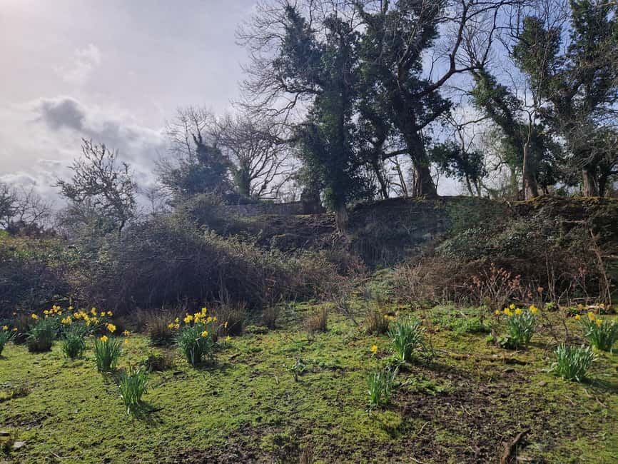 Obraz nr 11 z atrakcji Killarney: Rejs wycieczkowy na wyspę Innisfallen, jeziora Killarney w Munster, przesłany przez organizatora