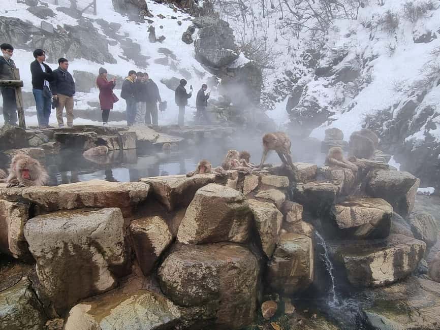 image n.9 of Nagano One Day Private Tour activity in Yamanochi, uploaded by supplier