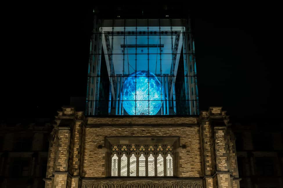 imagem n.8 de Otava: Ingresso no Museu Canadiano da Natureza atividade em Ottawa, carregada pelo fornecedor