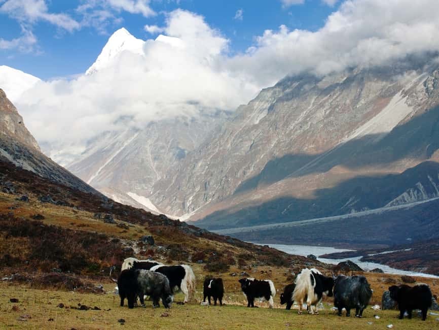 image n.9 of Kathmandu: 6 Days Langtang Valley Trek activity in Bagmati Zone, uploaded by supplier
