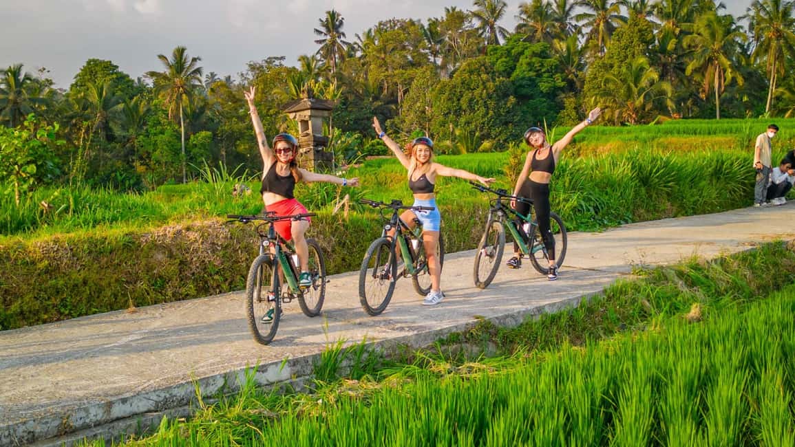 image n.1 of E-Bike: Ubud Rice Terraces & Traditional Villages Cycling activity in Bali, uploaded by supplier