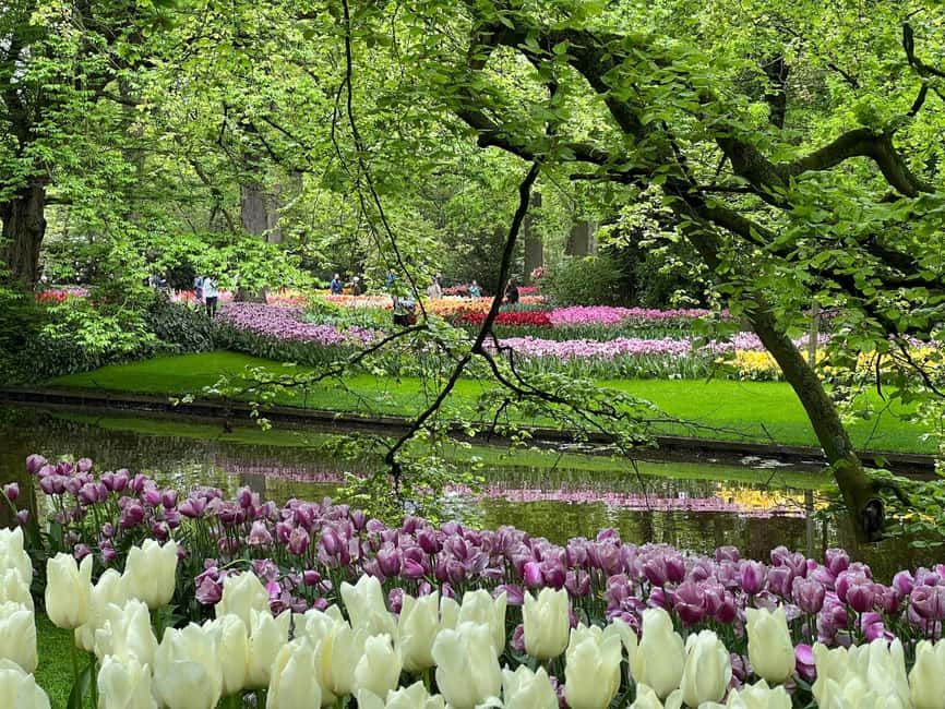 image n.7 of Amsterdam: Keukenhof Tulip Garden and Giethoorn Experience activity in Lisse, uploaded by supplier