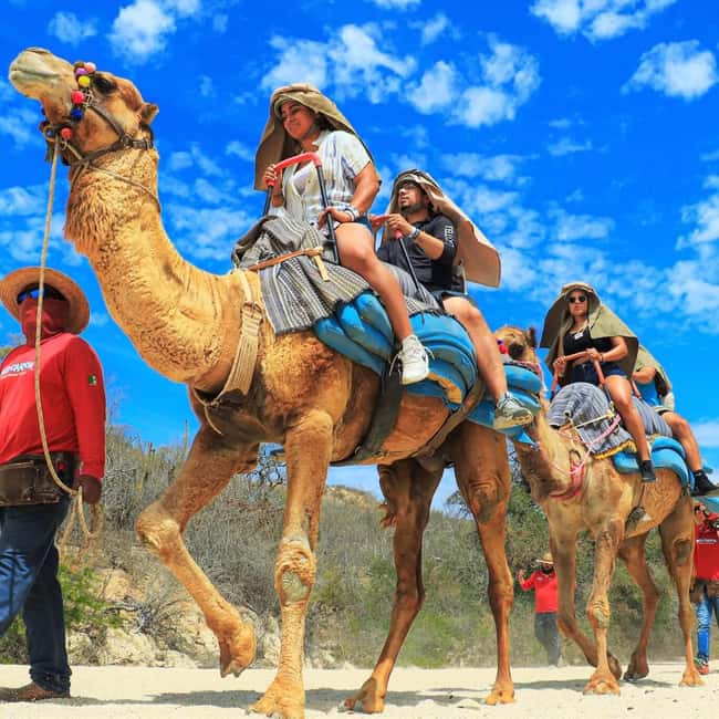 image n.2 of Agadir: Camel Ride With Tea & BBQ Dinner Option activity in Agadir, uploaded by supplier
