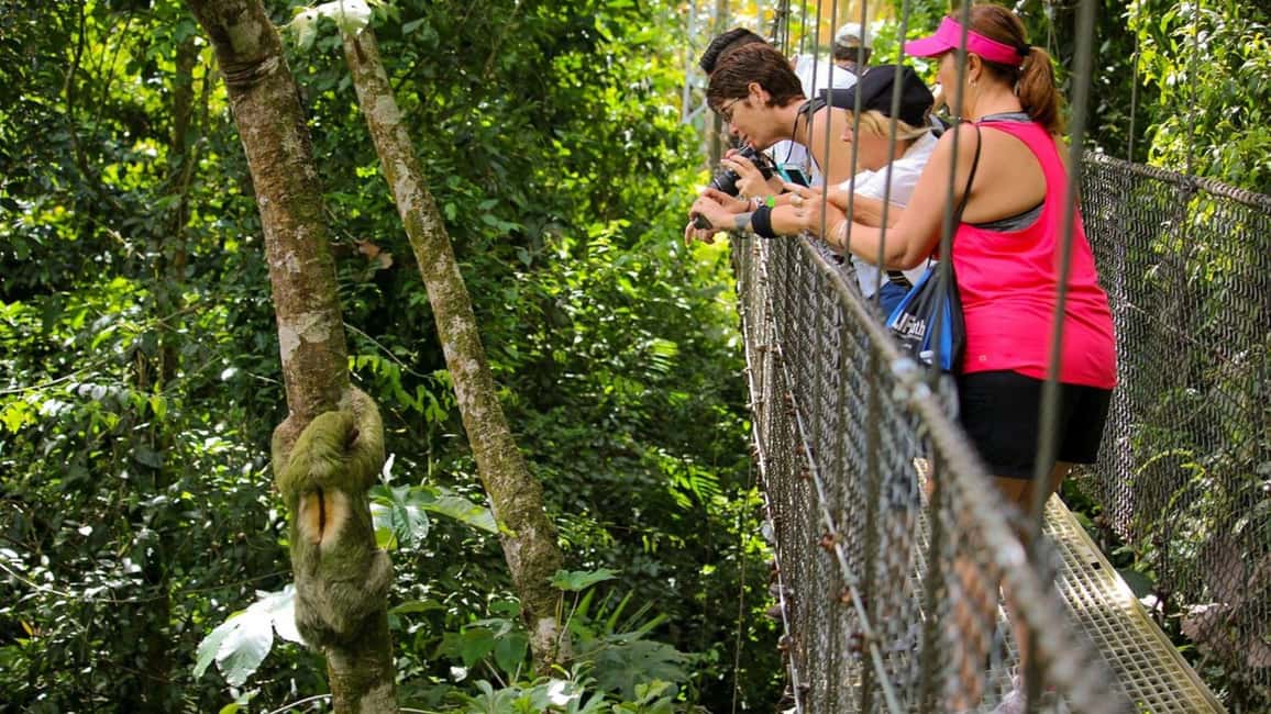 imagem n.10 de La Fortuna: Pontes Suspensas, Vulcão Arenal e Excursão às Cataratas atividade em La Fortuna, carregada pelo fornecedor