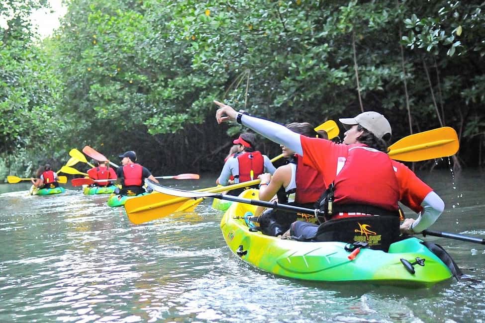 billede nr.22 af aktiviteten San Juan: El Yunque og Bio Bay heldagstur med transport i Río Grande, Puerto Rico, uploadet af udbyder