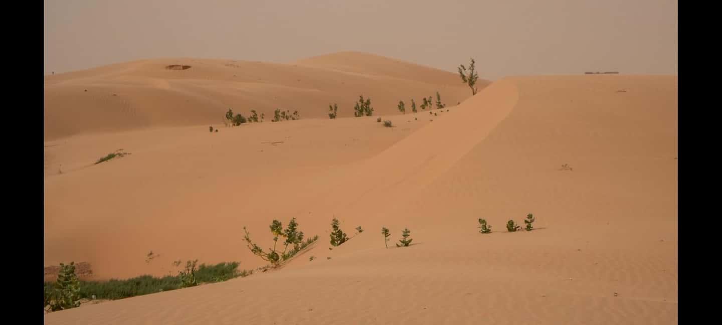 image n.4 of Nouakchott Private tour activity in Nouakchott, uploaded by supplier