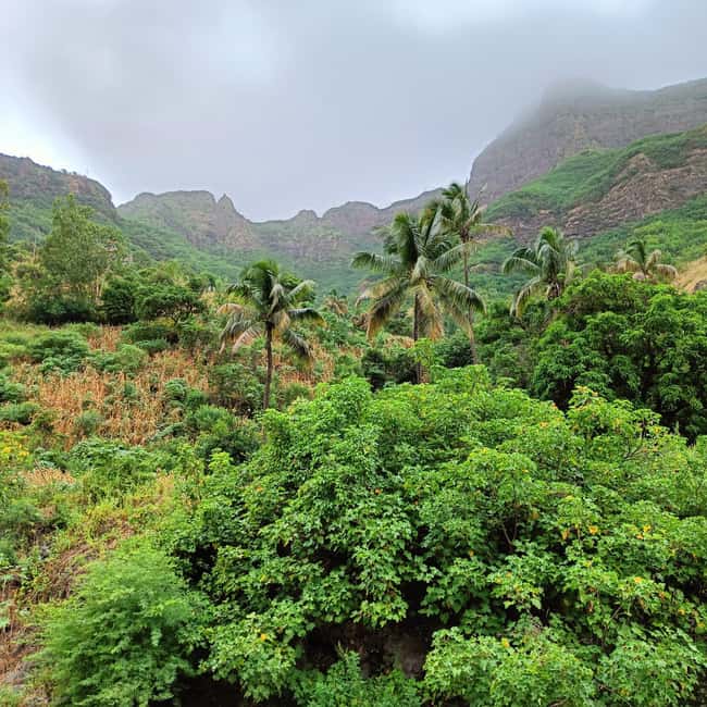imagem n.1 de Visita à ilha especialmente concebida para os hóspedes de cruzeiros atividade em Ilha de Santiago, Cabo Verde, carregada pelo fornecedor