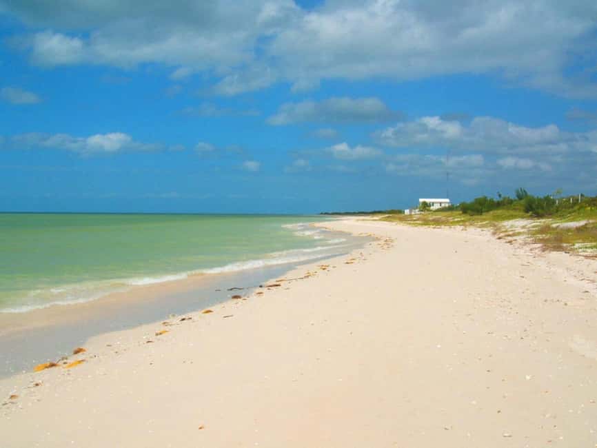 image n.12 of Merida: Celestun Boat Ride Mangrove Experience! Beach Time activity in Celestún, uploaded by supplier