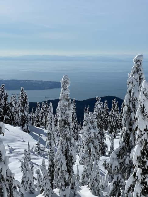 image n.2 of Vancouver: North Shore Mountains Snowshoeing with Transfer activity in West Vancouver, uploaded by supplier