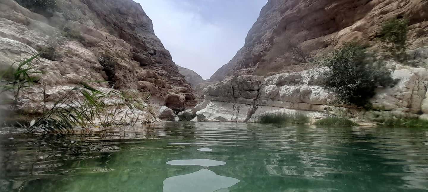 Immagine nº 2 di Da Muscat: Tour guidato di una notte nel campo del deserto attività a Regione al-Sharqiyya, caricata dal fornitore