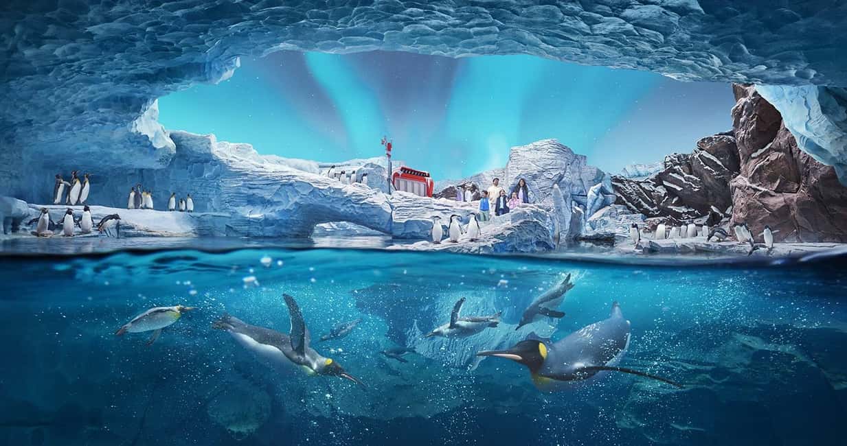 image n.7 of Abu Dhabi Mosque & Sea World Tour from Dubai activity in Abu Dhabi, uploaded by supplier