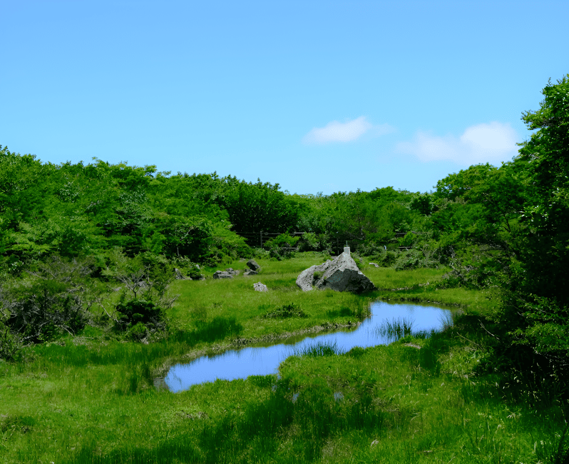 image n.26 of Jeju island : West & South Full-Day Tour activity in Seogwipo-si, uploaded by supplier