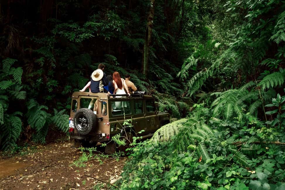 image n.17 of Madeira: Skywalk, Porto Moniz, Seixal, and Fanal 4WD Tour activity in Madeira, uploaded by supplier