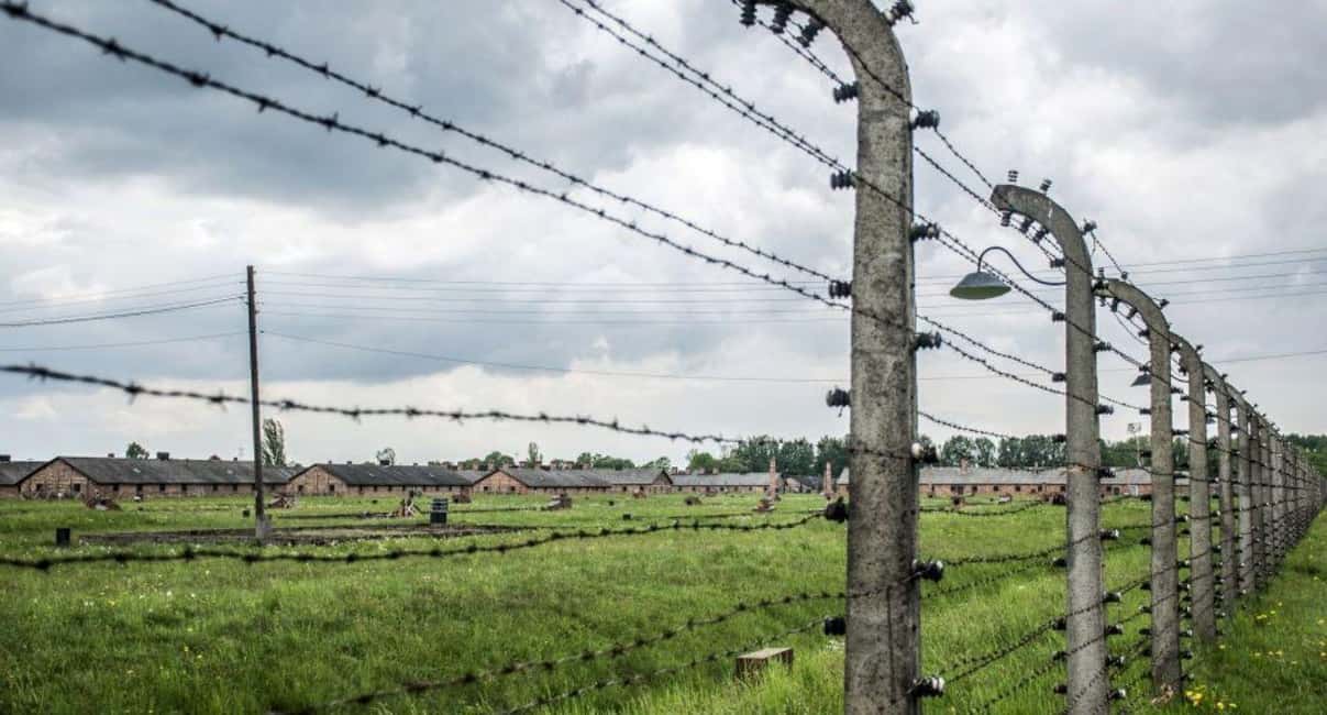 Immagine nº 2 di Da Varsavia: Tour guidato ad Auschwitz-Birkenau e a Cracovia attività a Oswiecim, caricata dal fornitore