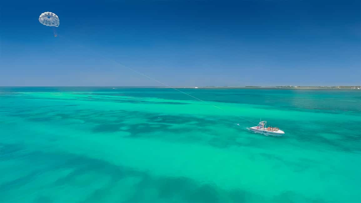 imagen n.º 15 de Desde Miami Excursión de un día a Cayo Hueso actividad en Cayo Hueso, subida por el proveedor