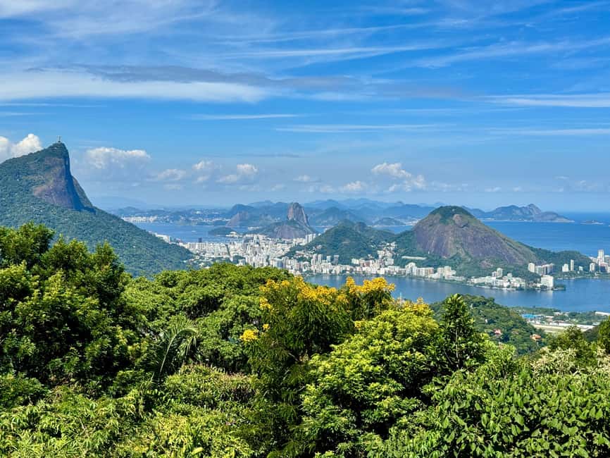 imagen n.º 8 de Río: Senderismo por la selva tropical de Tijuca, cascadas, cuevas y fauna silvestre actividad en Río de Janeiro, subida por el proveedor