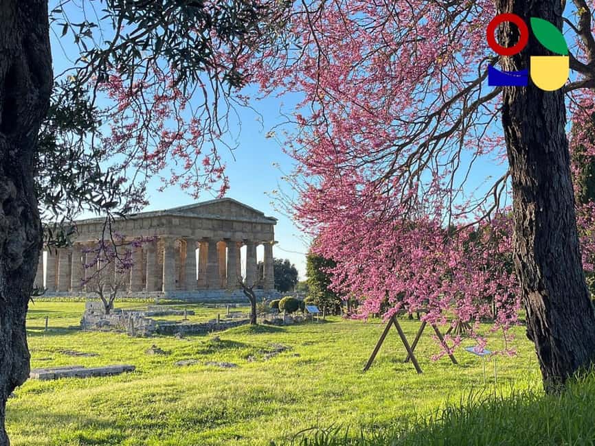 Immagine nº 2 di Paestum: tour di orientamento della città attività a Paestum, caricata dal fornitore