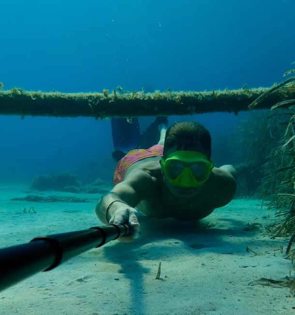 afbeelding n.2 van Nice: Rondvaart Lerins Eilanden met snorkelen activiteit in Cannes, geüpload door aanbieder