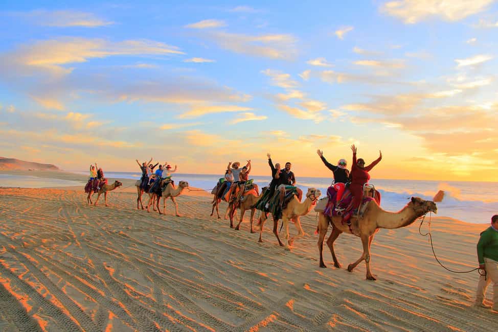 image n.2 of Cabo San Lucas: Camel Ride on the Beach activity in Cabo San Lucas, uploaded by supplier