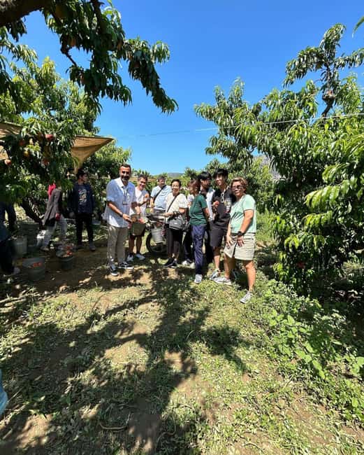 billede nr.14 af aktiviteten Kusadasi havn: Efesos og terrassehuse-tur (spring linjen over) i Selcuk, uploadet af udbyder