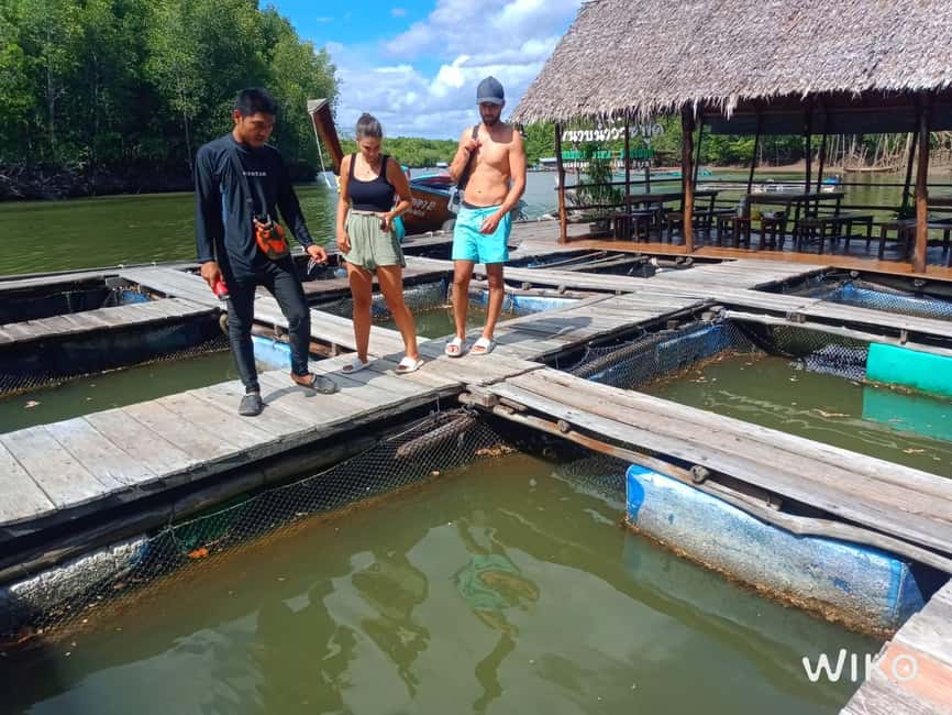 image n.13 of Ko Lanta: Half-Day Mangrove Kayaking Tour with Lunch activity in Tung Yee Peng, uploaded by supplier