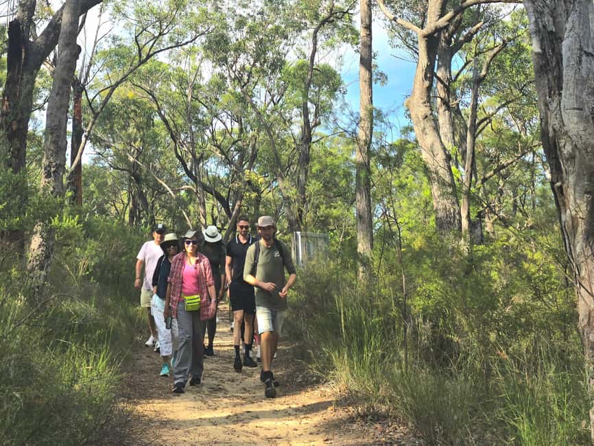 image n.26 of From Sydney: Blue Mountains Tour with Waterfall Walk & Lunch activity in Wentworth Falls, uploaded by supplier