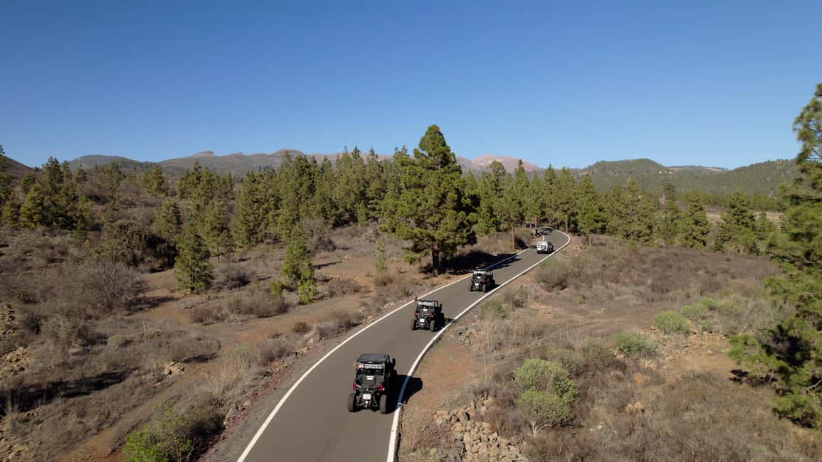 billede nr.15 af aktiviteten Tenerife: Guidet buggytur i Teide Nationalpark i Arona, Tenerife, uploadet af udbyder