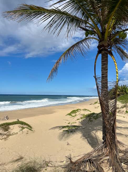 image n.1 of San Juan:Beach hopping Los Tubos, Hacienda Esperanza & more activity in Manatí, uploaded by supplier
