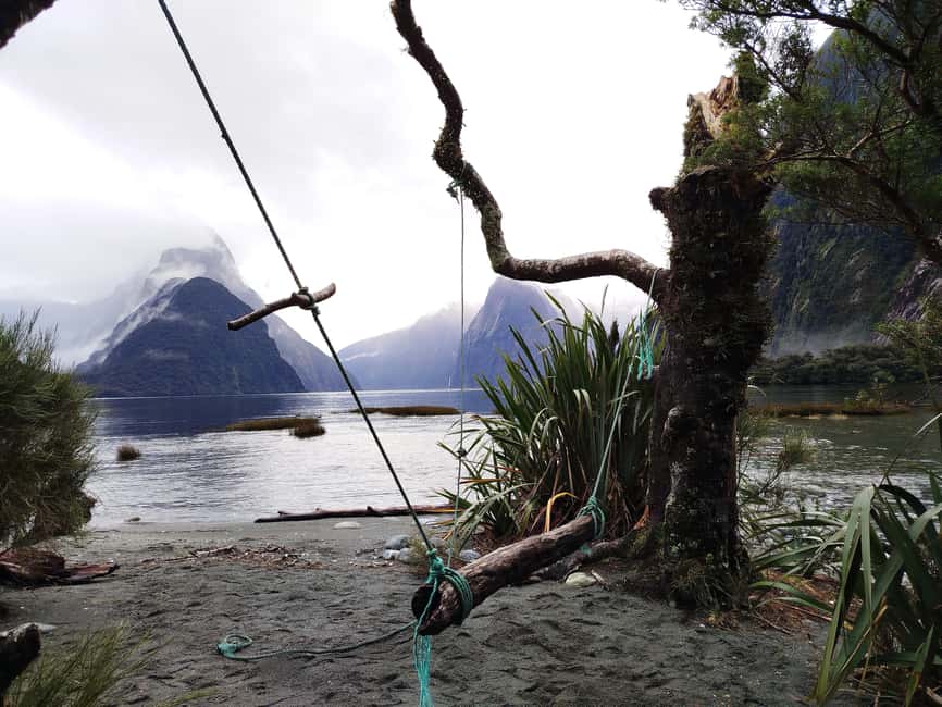 image n.12 of New Zealand: 9-Day Private Tour with 14-16 Activities activity in Matamata, uploaded by supplier