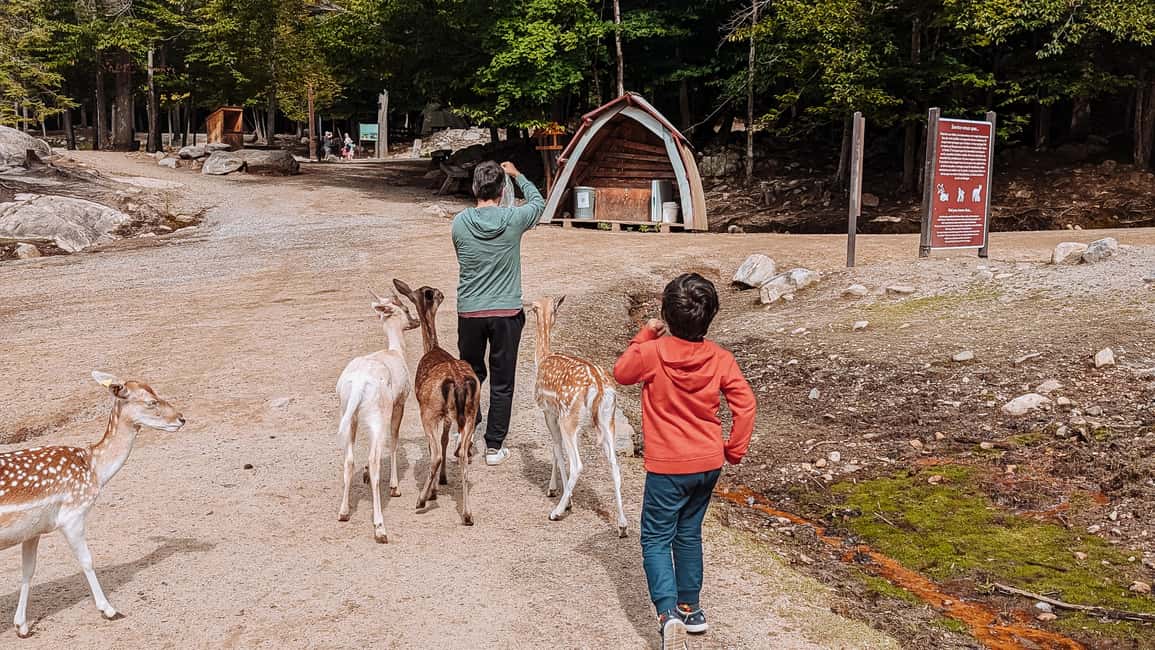 imagem n.18 de Otava: Safari privado de aventura na vida selvagem no Parc Omega atividade em Montebello, carregada pelo fornecedor