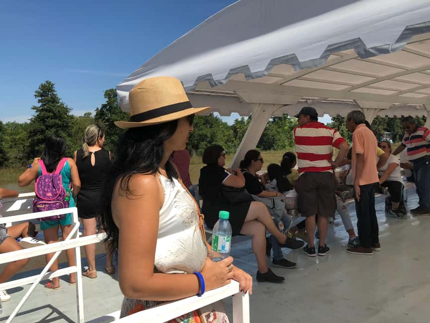 imagen n.º 4 de Buenos Aires: Ticket de entrada - Clásico tour en barco por el Delta del Tigre actividad en Tigre, Argentina, subida por el proveedor