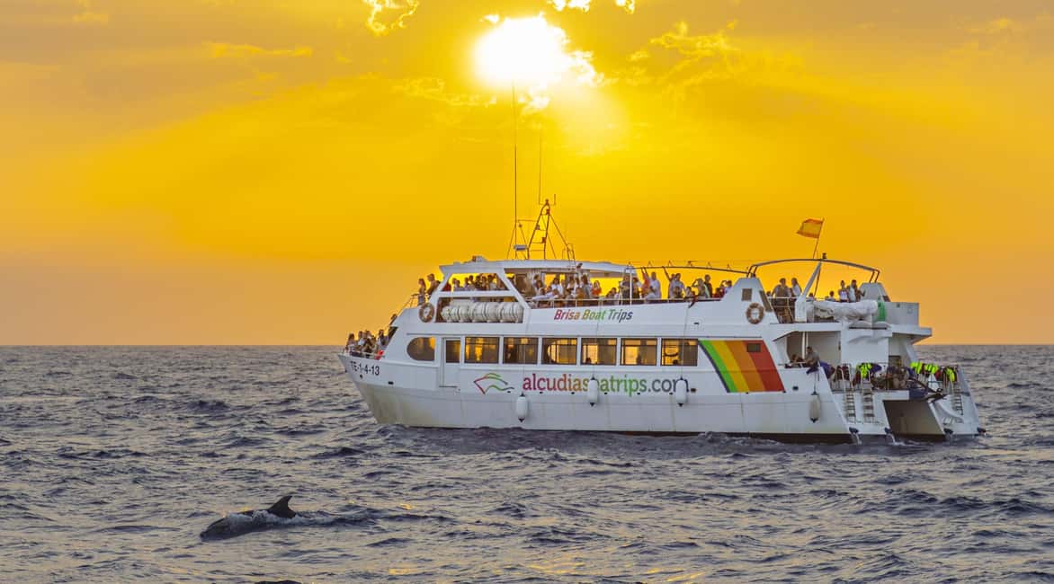 bild nr.3 av Port d'Alcudia: Soluppgång till havs och båttur med delfinskådning aktivitet i Port d'Alcúdia, uppladdad av arrangören